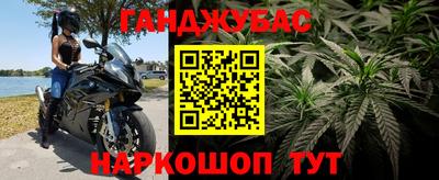 PSILOCYBIN Белорецк
