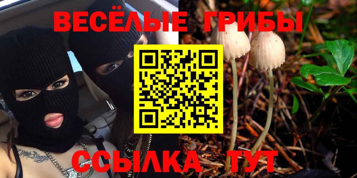 Псилоцибиновые грибы Cubensis Отрадное