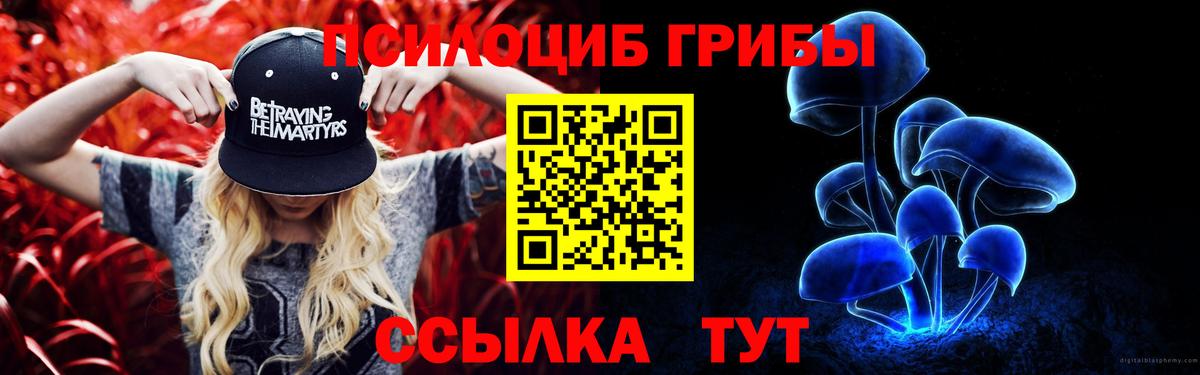Псилоцибиновые грибы Psilocybine cubensis  Галлюциногенные грибы мухоморы  Отрадное  Вход с VPN 